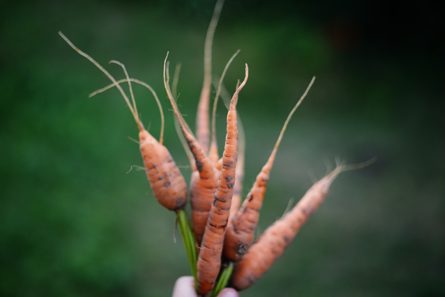 Science-Backed Nutrients: What You Need to Know